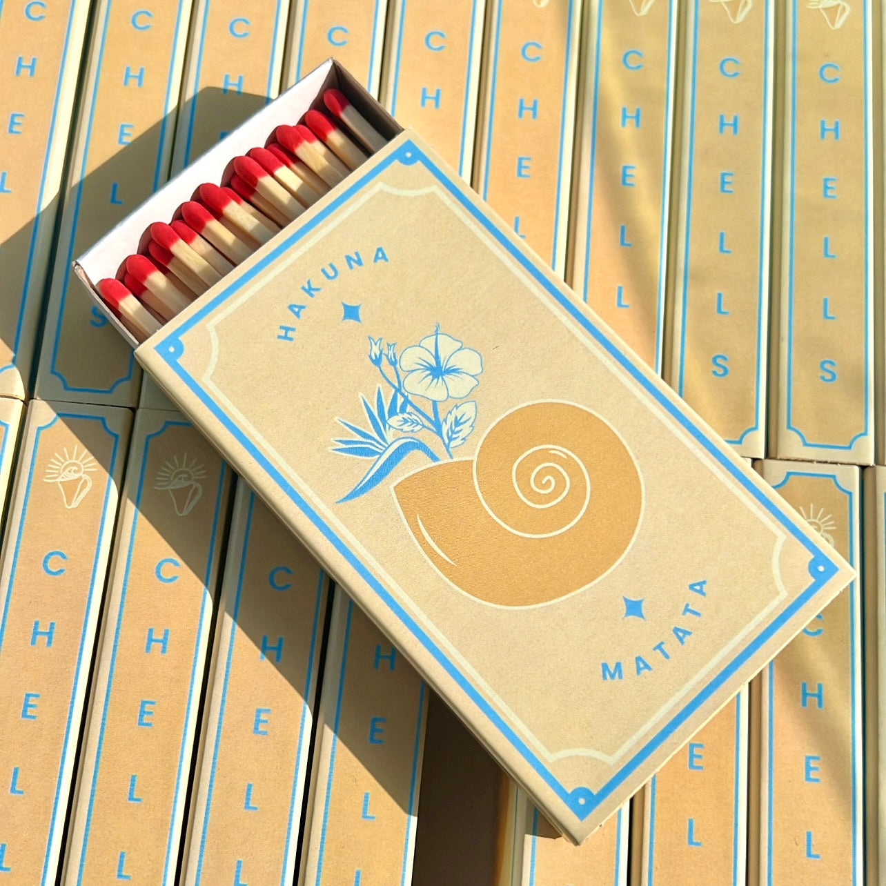 קופסת צדפרורים אקונה מטטה