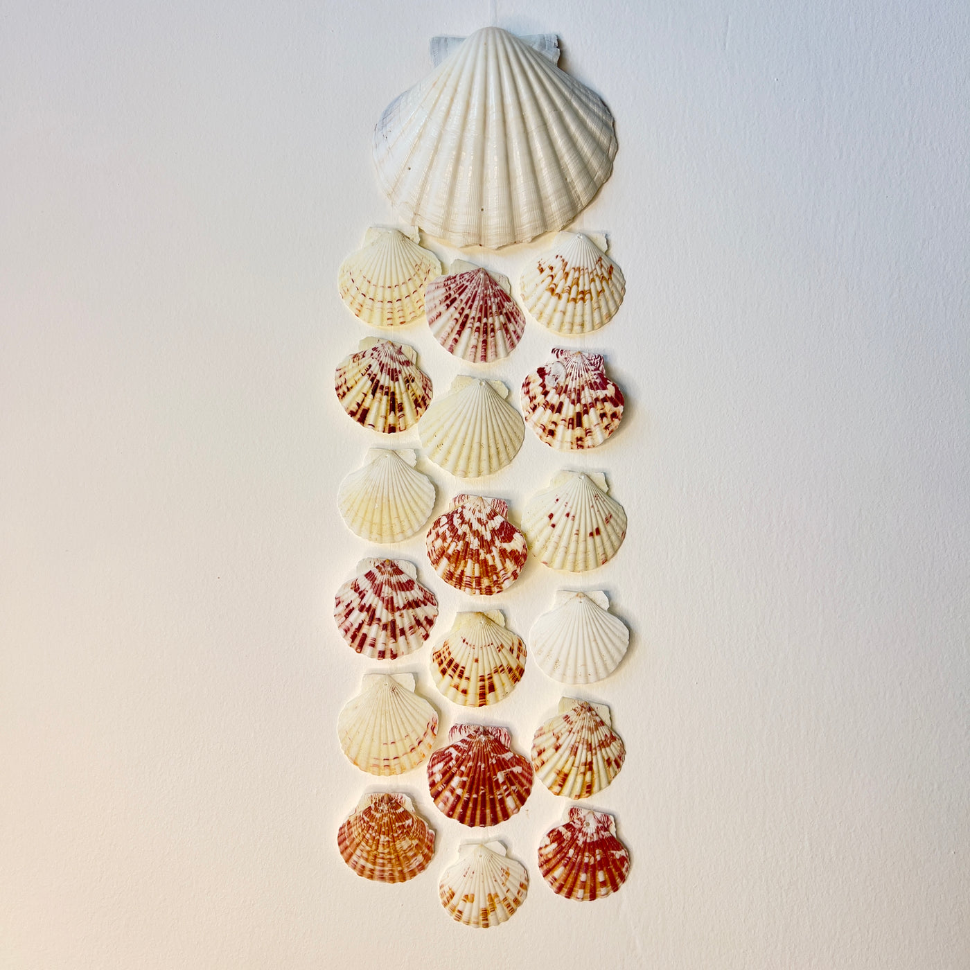 מובייל צדפים סיישל