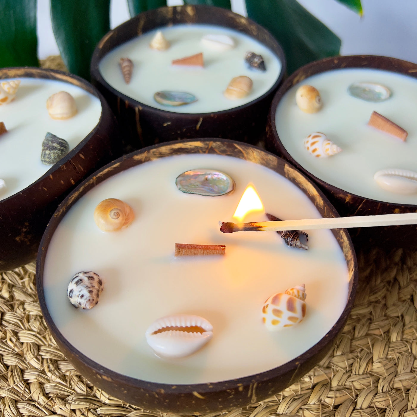 נר אפריקה קוקו ג׳מבו