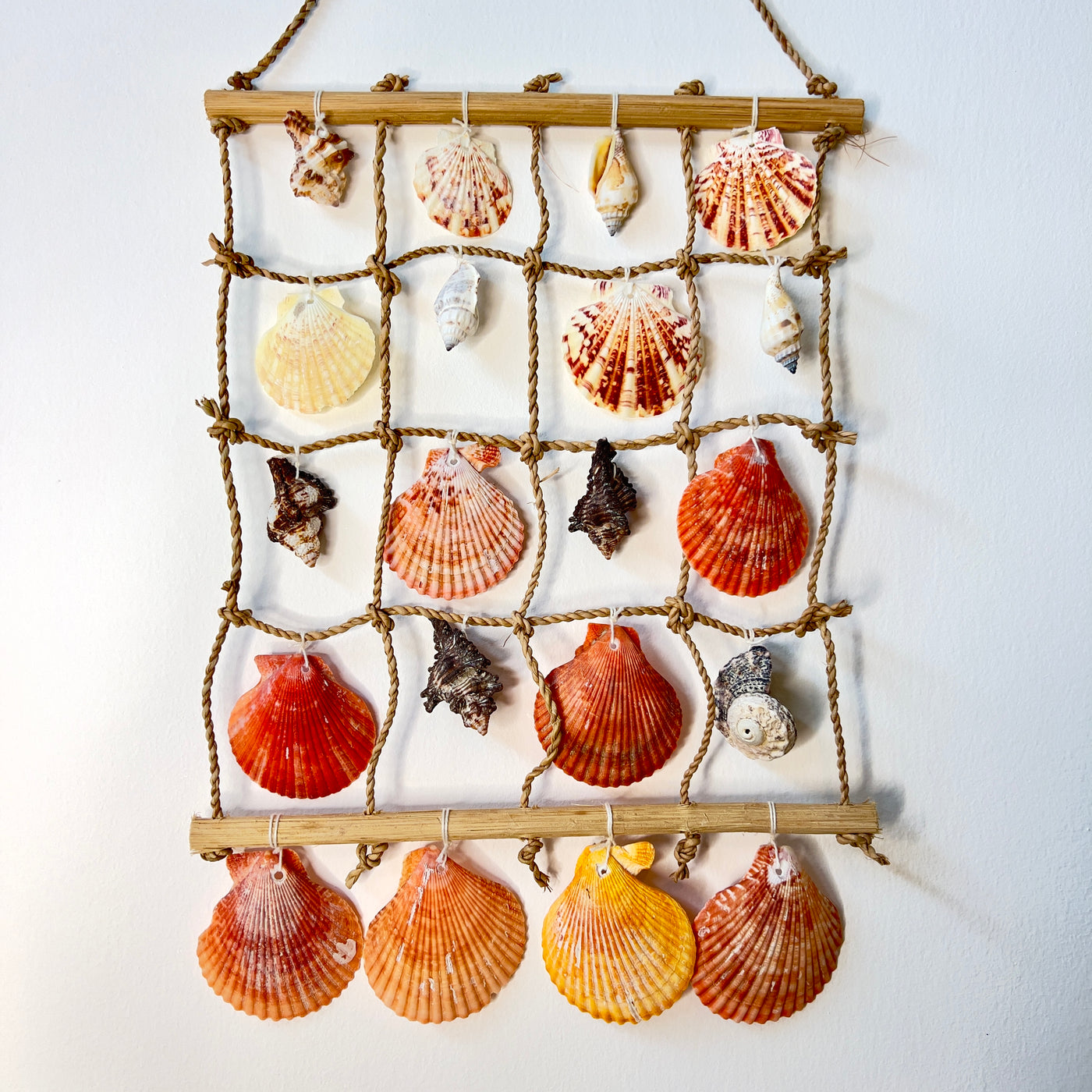 מובייל צדפים האפי היפי