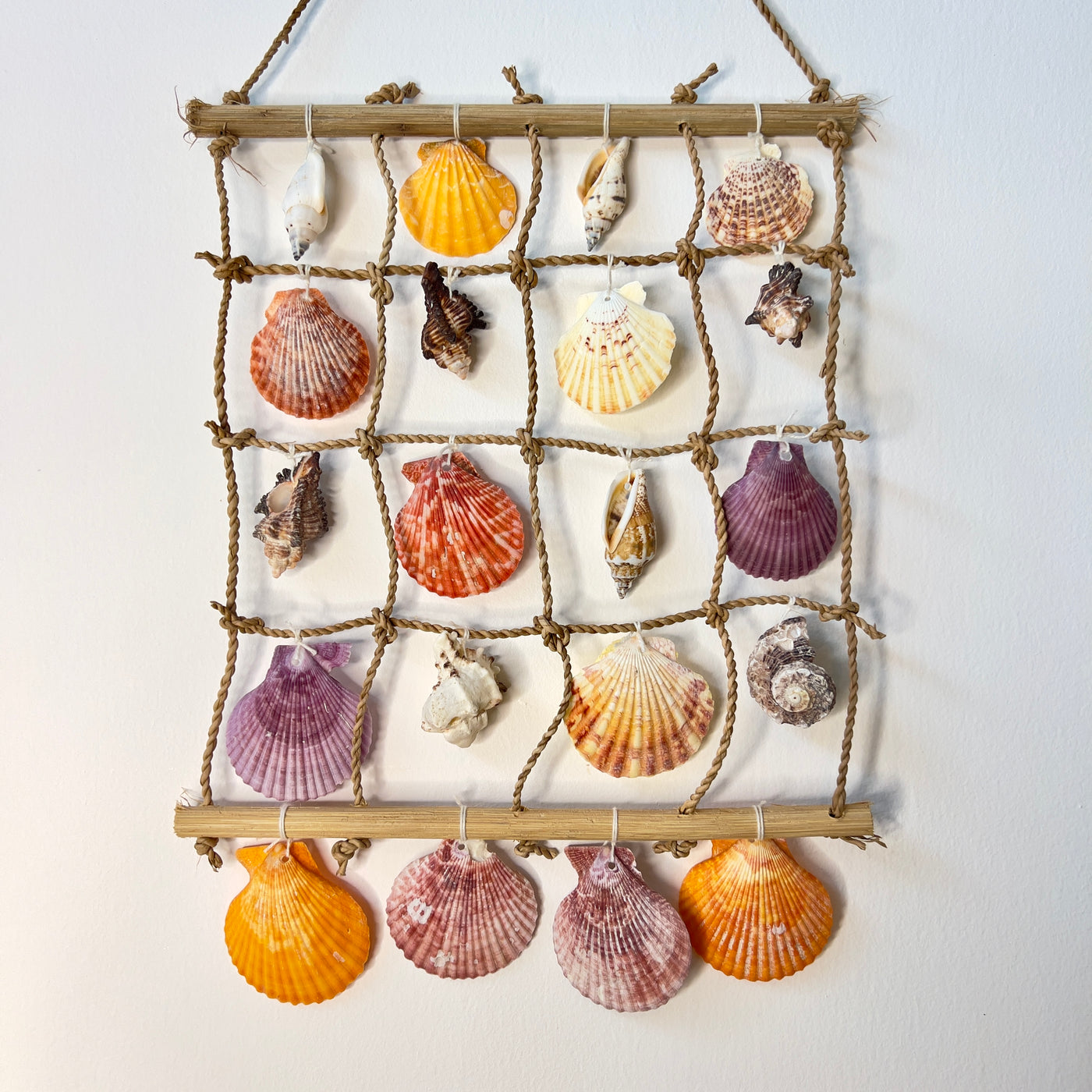 מובייל צדפים האפי היפי