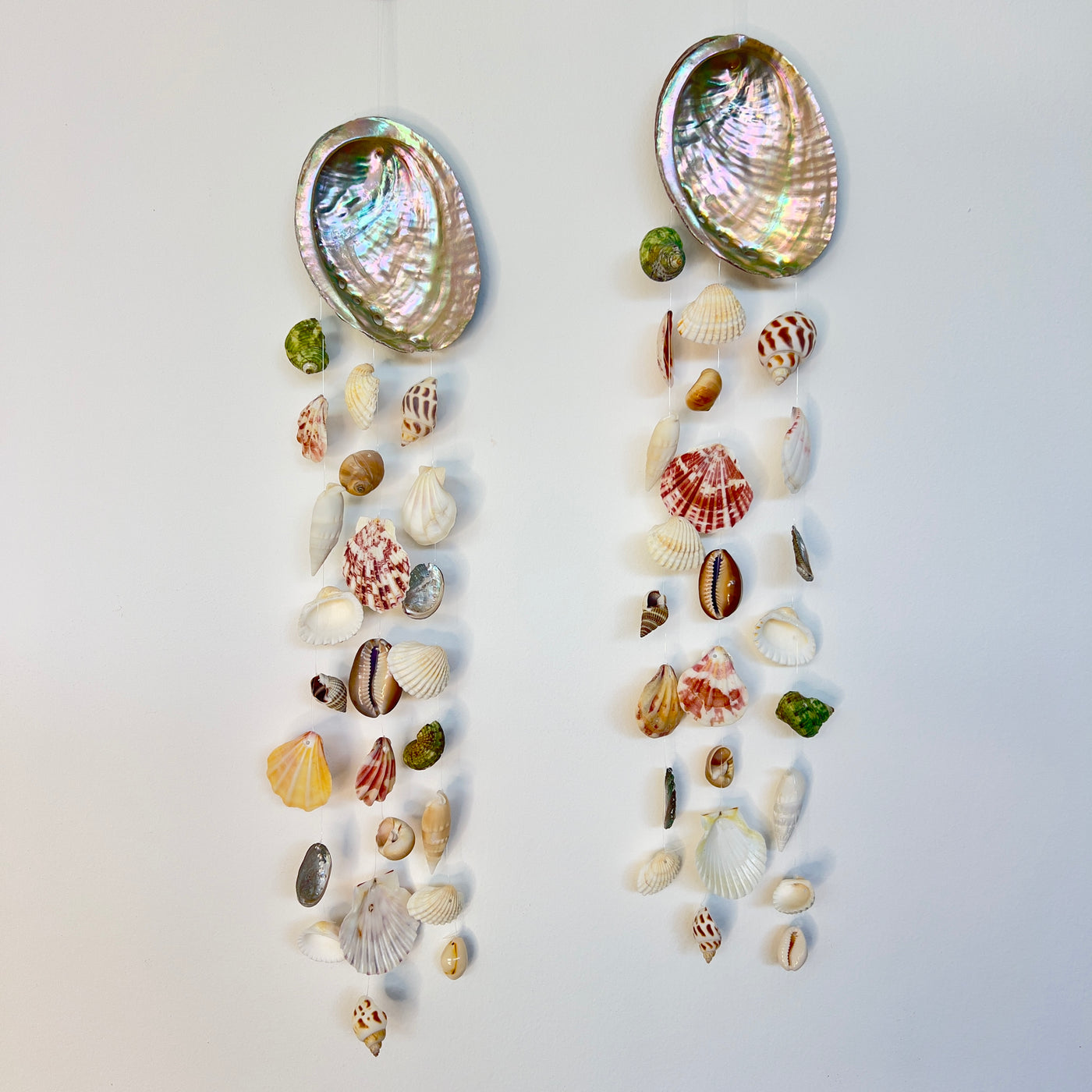 מובייל צדפים טנזניה