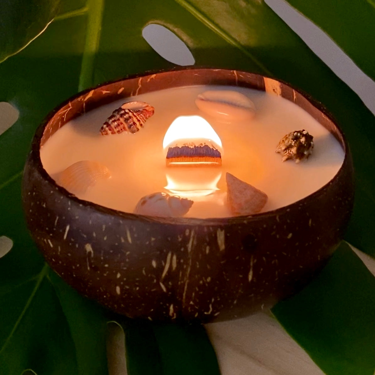 נר אפריקה קוקו ג׳מבו