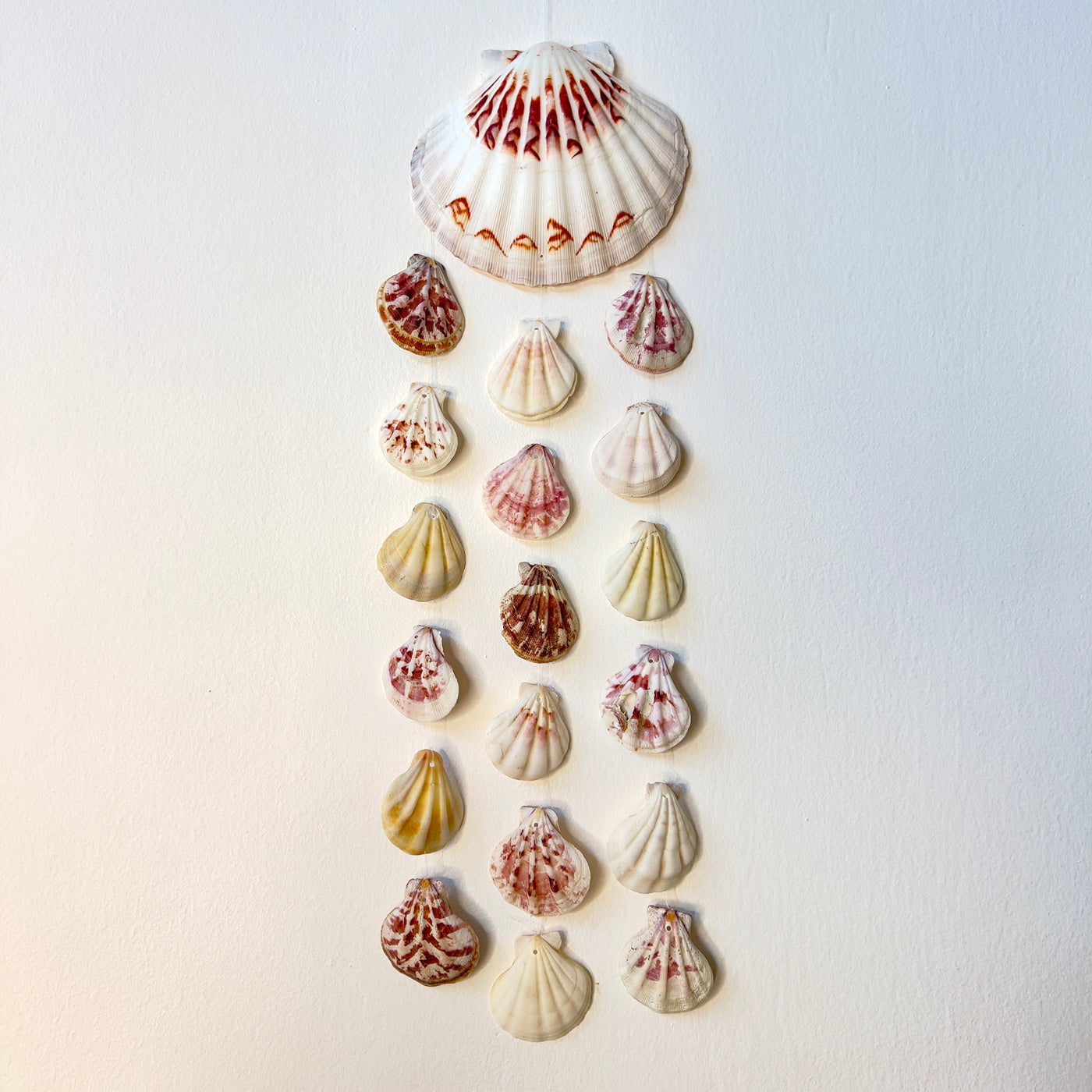 מובייל צדפים אמילי